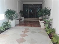 Palmeras 3*